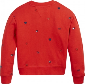 Embroidered sweatshirt XNL deep crimso