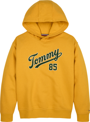 TH college hoodie ZF4 countryside