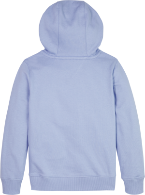 Essential hoodie C3R pearly blue