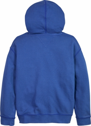 Tonal logo hoodie C66 ultra blue