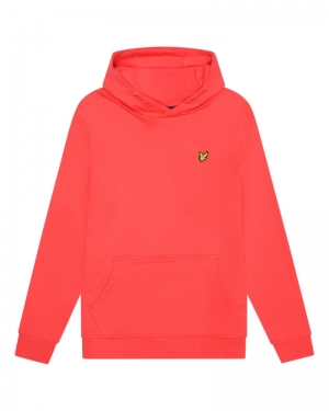 PULLOVER HOODIE X312 RADICAL CO