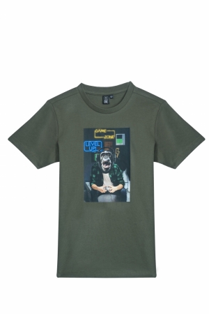 OVERLOAD-B-02-D grey khaki