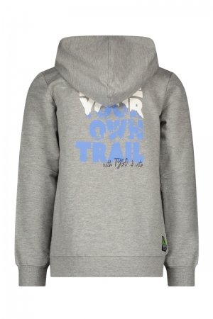 Hoody Held 700 - Grey Mele