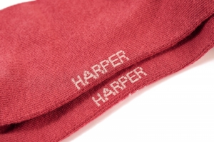 HARPER-SG-90-H raspberry