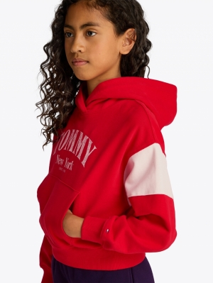 VARSITY COLORBLOCK HOODIE XME Red Hot