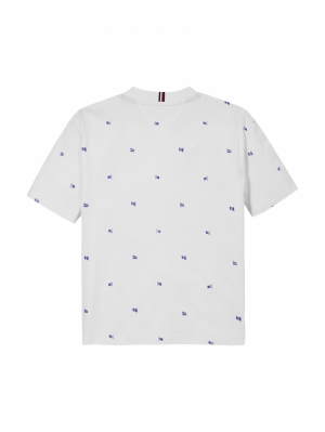 AOP WAVING FLAG TEE SS 0K4 White Allov