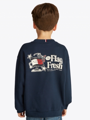 FUN FLAG SWEATSHIRT C1G Dark Night 