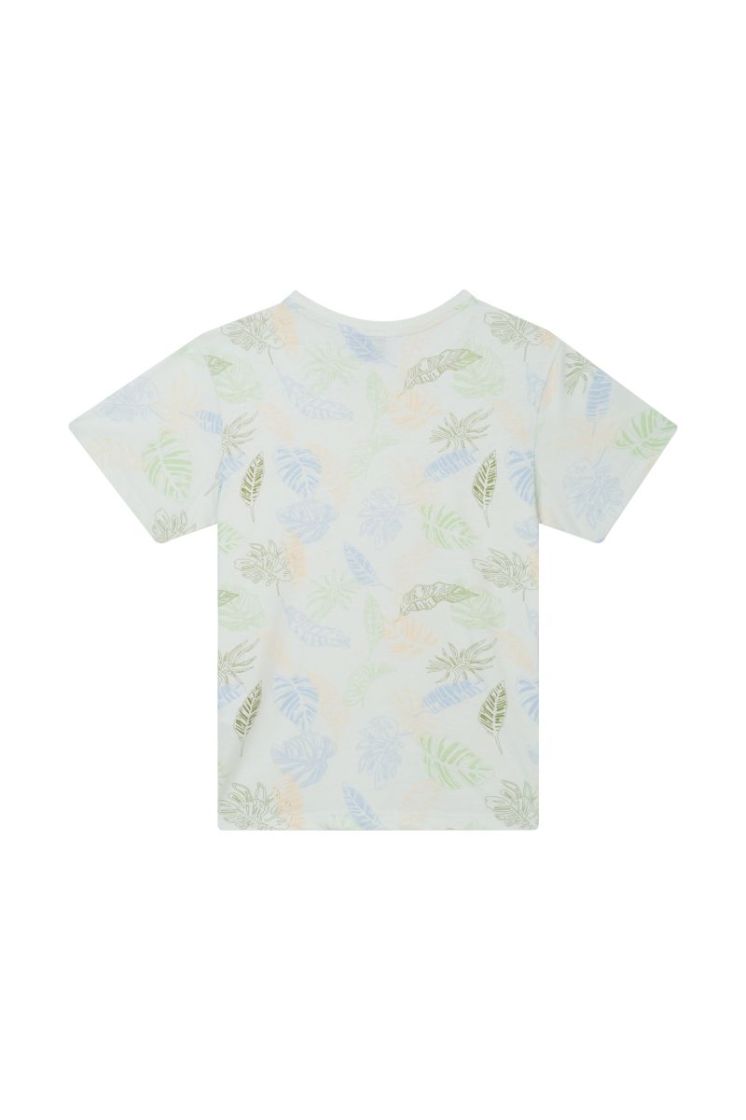 DEAN-B-02-B SOFT GREEN 