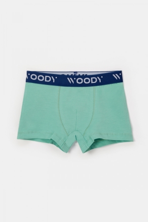 Duopack boys boxershorts 031