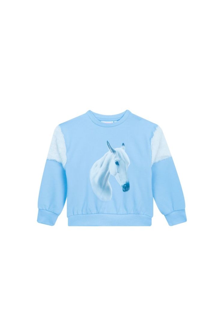CHEVAL-SG-16-C CLOUDY BLUE