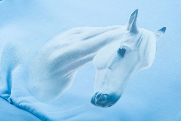 CHEVAL-SG-16-C CLOUDY BLUE