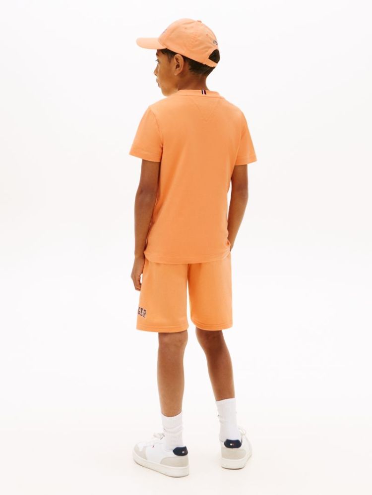 HILFIGER VARSITY T-SHIRT SEV Faded Sun K