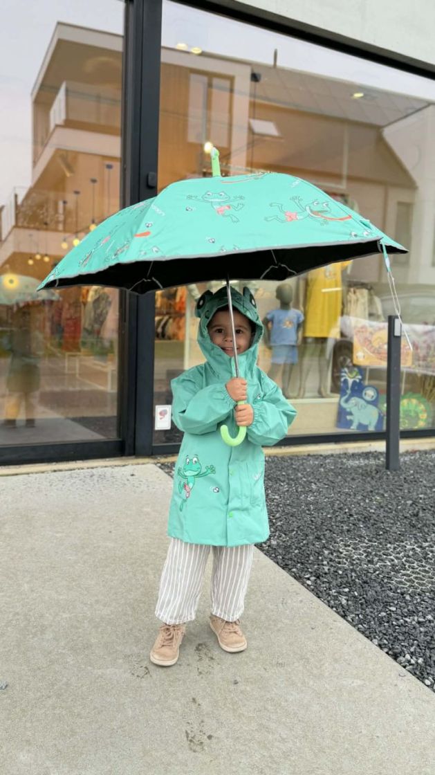 Umbrella 060