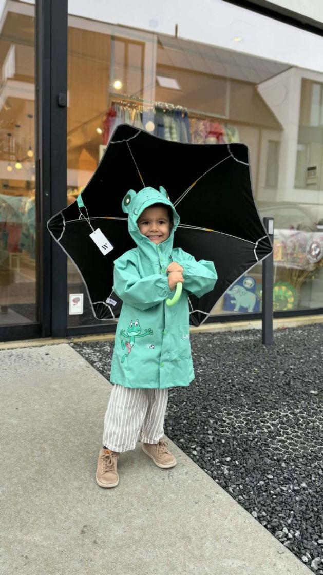 Umbrella 060