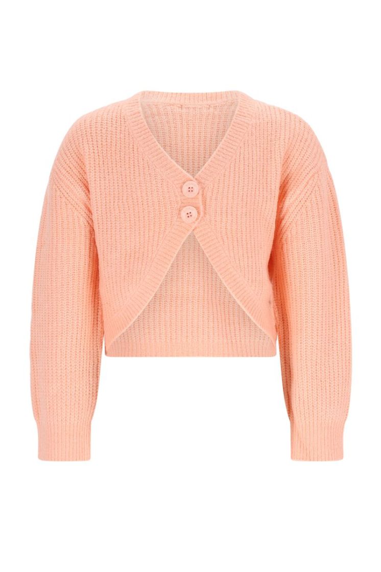 Ashlee Soft Cropped Cardigan 533 Light Peach