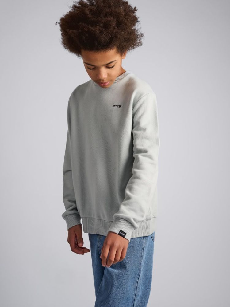 NOODLE BACKPRINT SWEATER 000207 - SHARKS
