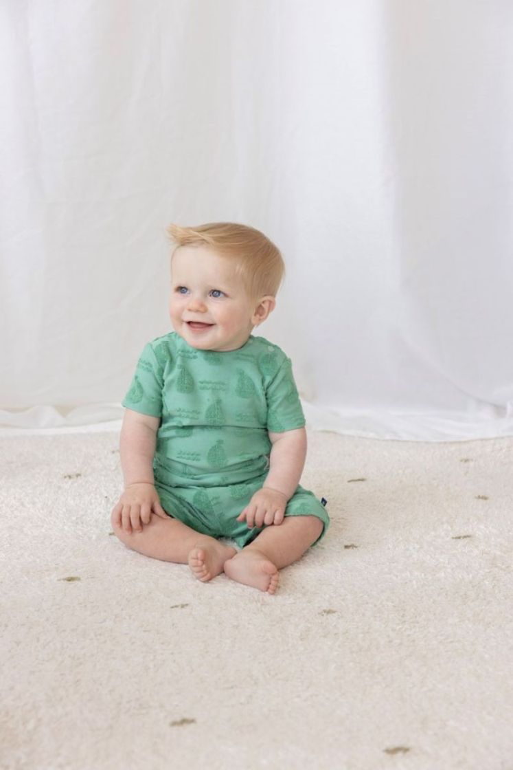 T-shirt AO badstof - Seaside groen