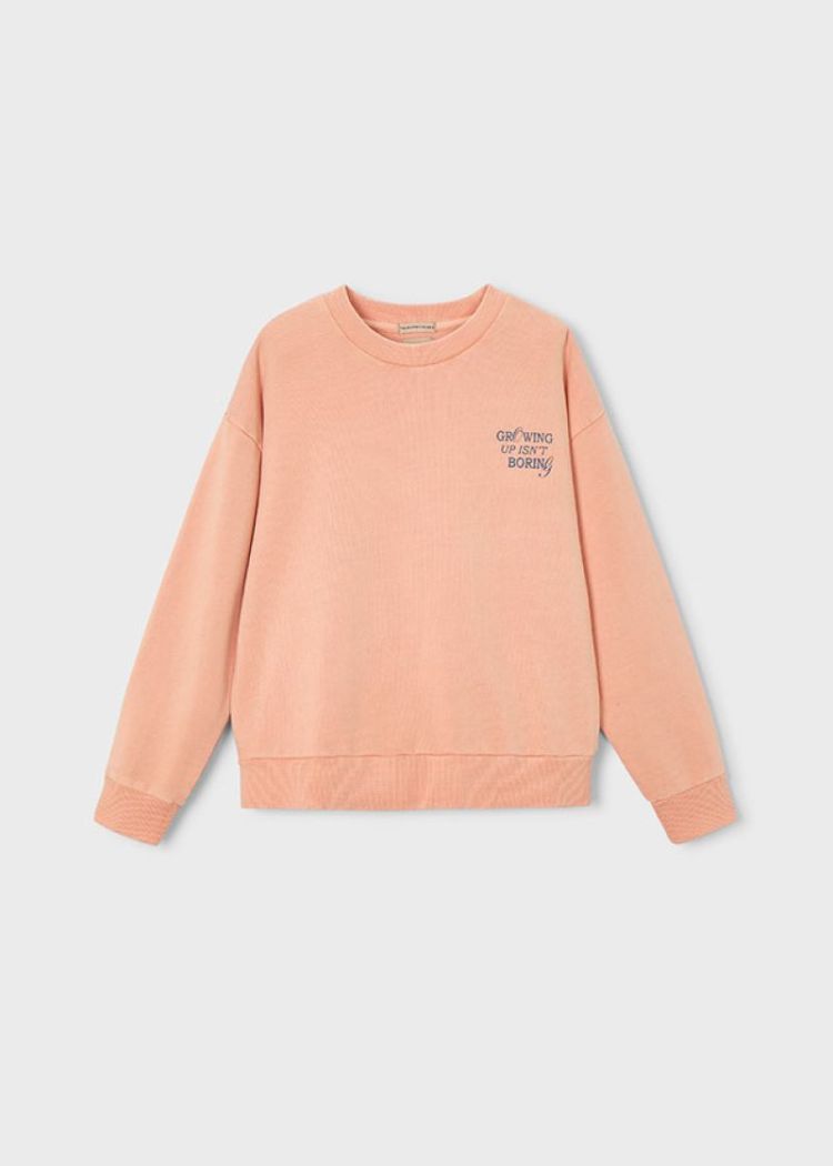 Sweatshirt 331 Coral