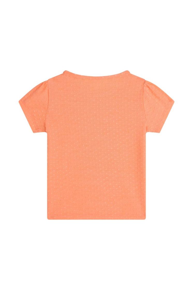 ZORA-SG-02-D CORAL