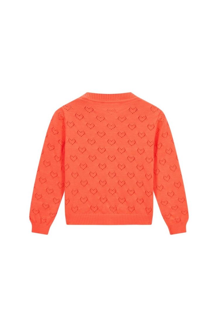 JOLIEN-SG-15-A FLUO CORAL