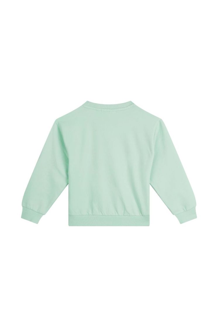 RIEN-SG-16-C SOFT MINT