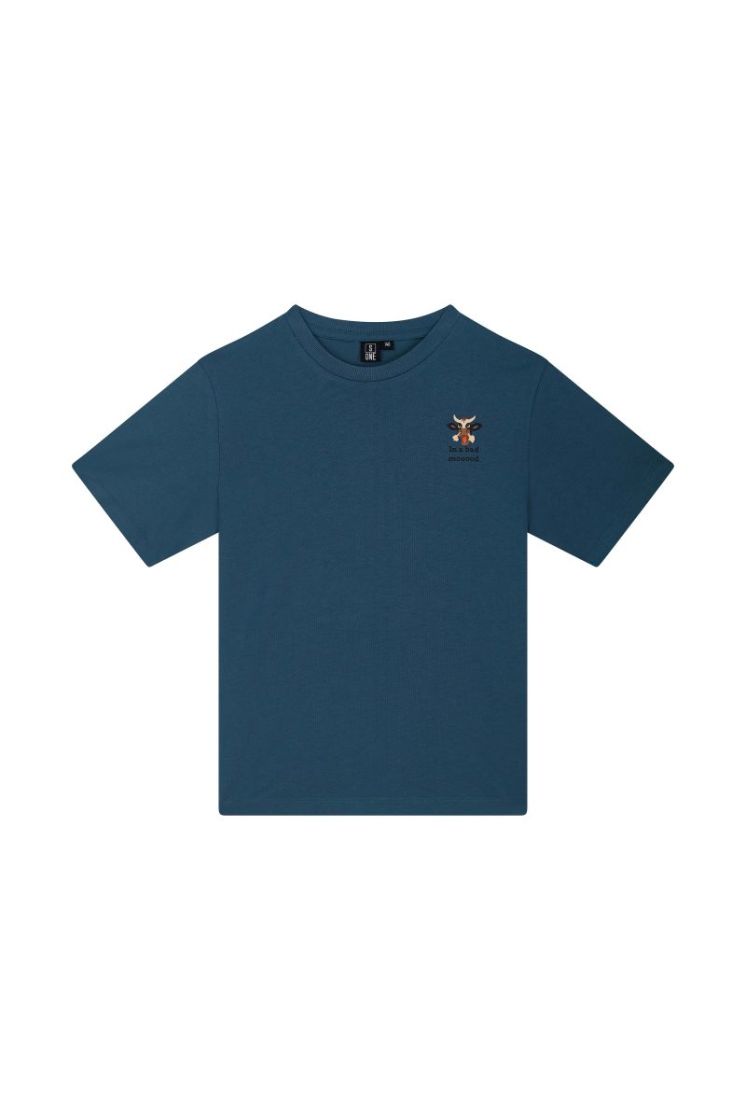 TED-B-02-C JEANS BLUE