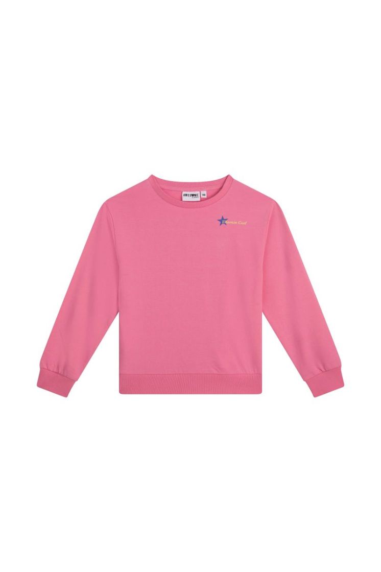CELINE-G-16-L MEDIUM PINK