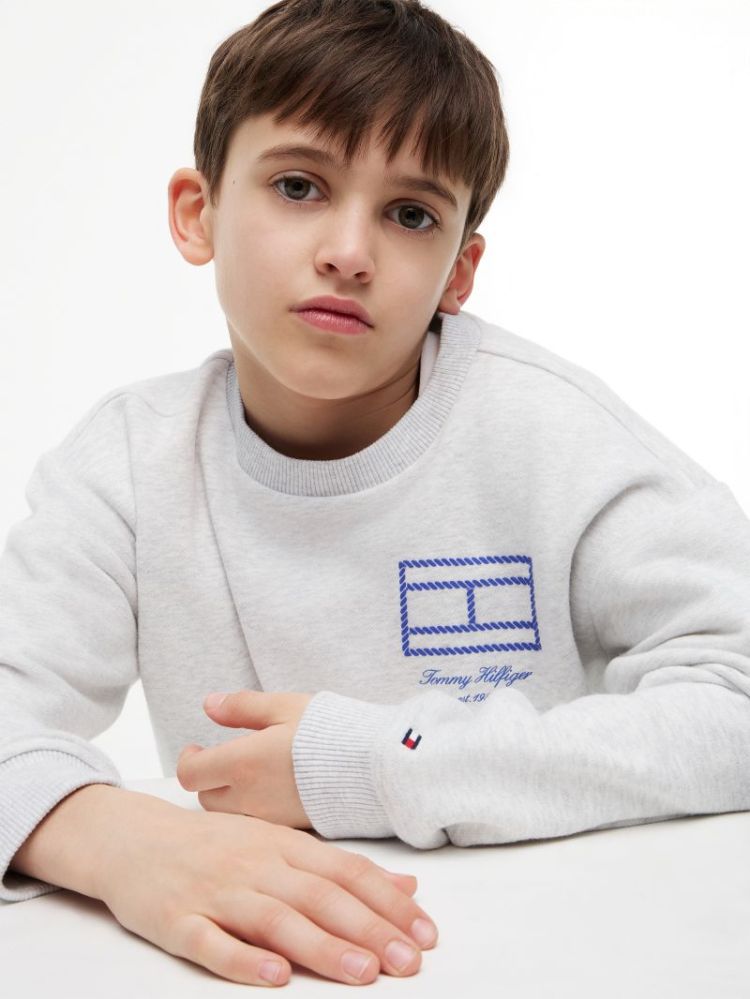 OUTLINE FLAG GRAPHIC SWEATSHIR P09 Light Grey
