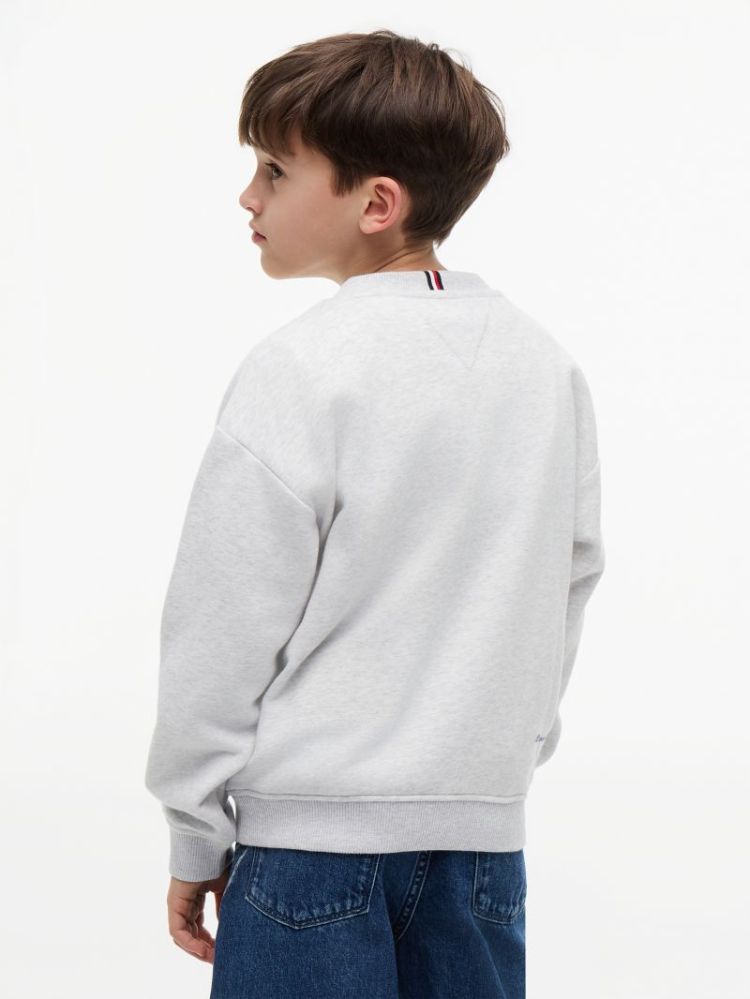 OUTLINE FLAG GRAPHIC SWEATSHIR P09 Light Grey