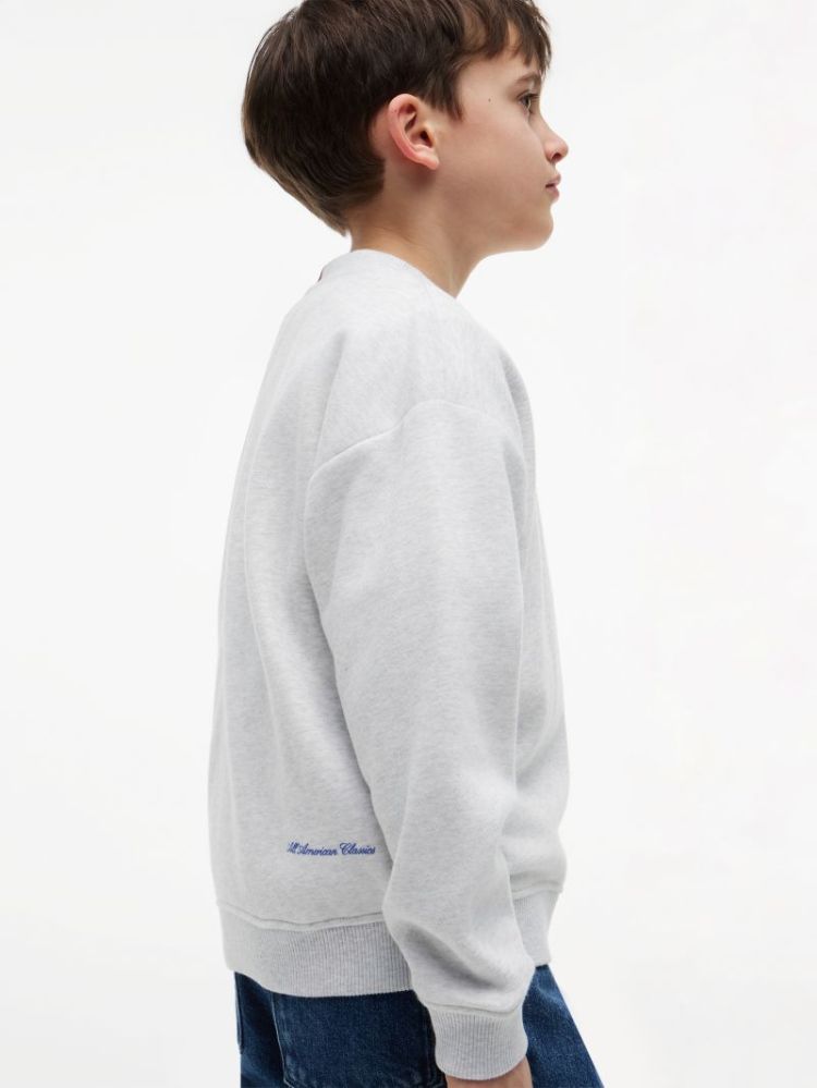 OUTLINE FLAG GRAPHIC SWEATSHIR P09 Light Grey