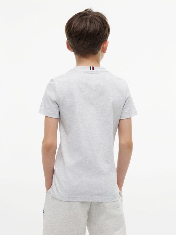 OUTLINE FLAG GRAPHIC T-SHIRT S P09 Light Grey