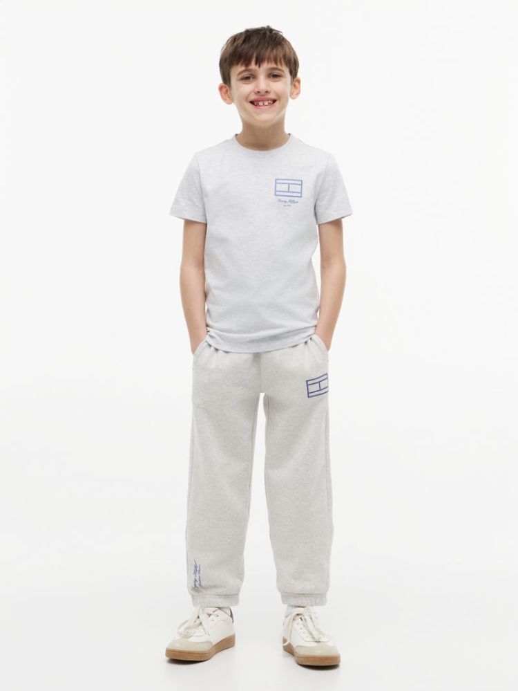 OUTLINE FLAG GRAPHIC T-SHIRT S P09 Light Grey