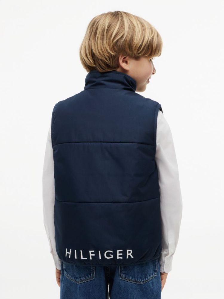 GRAPHIC VEST C1G Dark Night