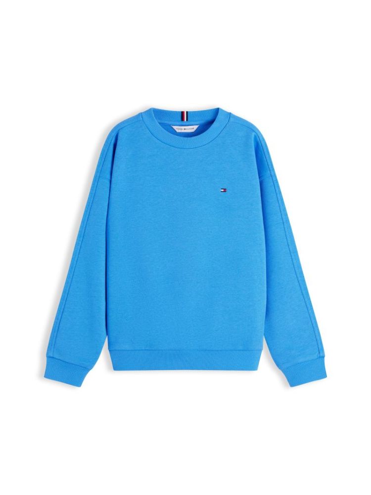 TEAM TOMMY SWEATSHIRT C39 Copenhagen 