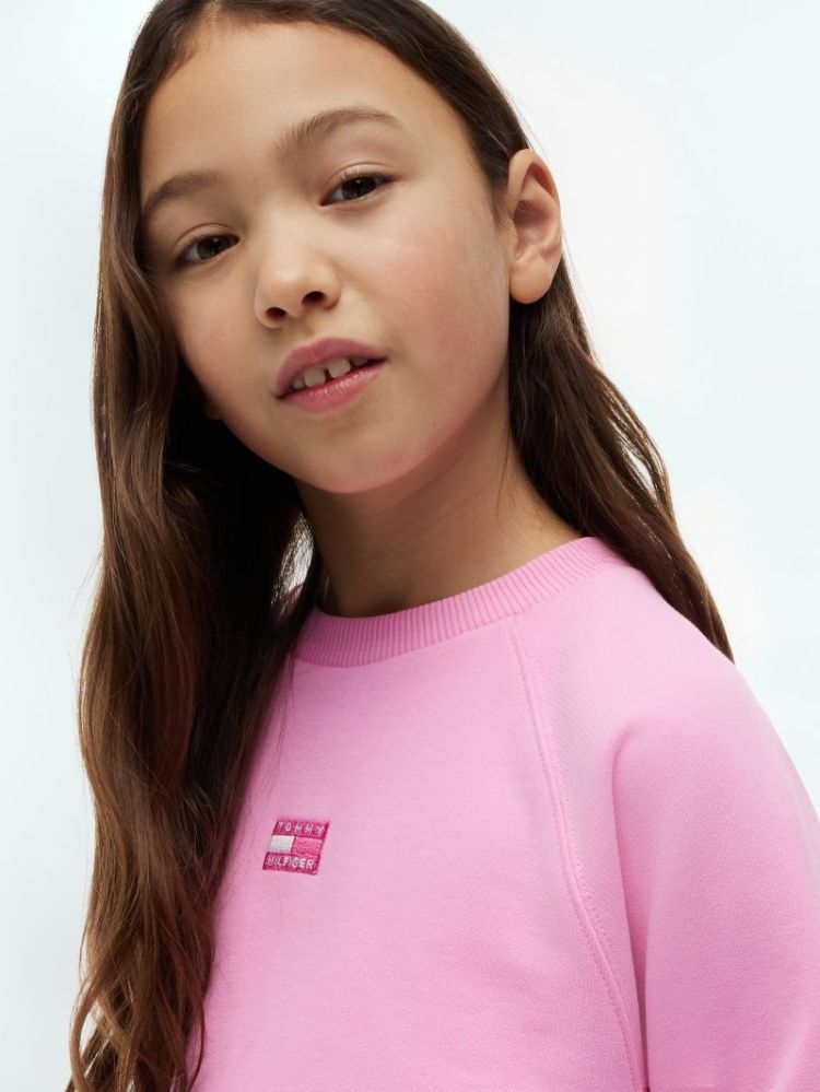 TONAL FLAG RAGLAN CREW TOU Pink Daisy