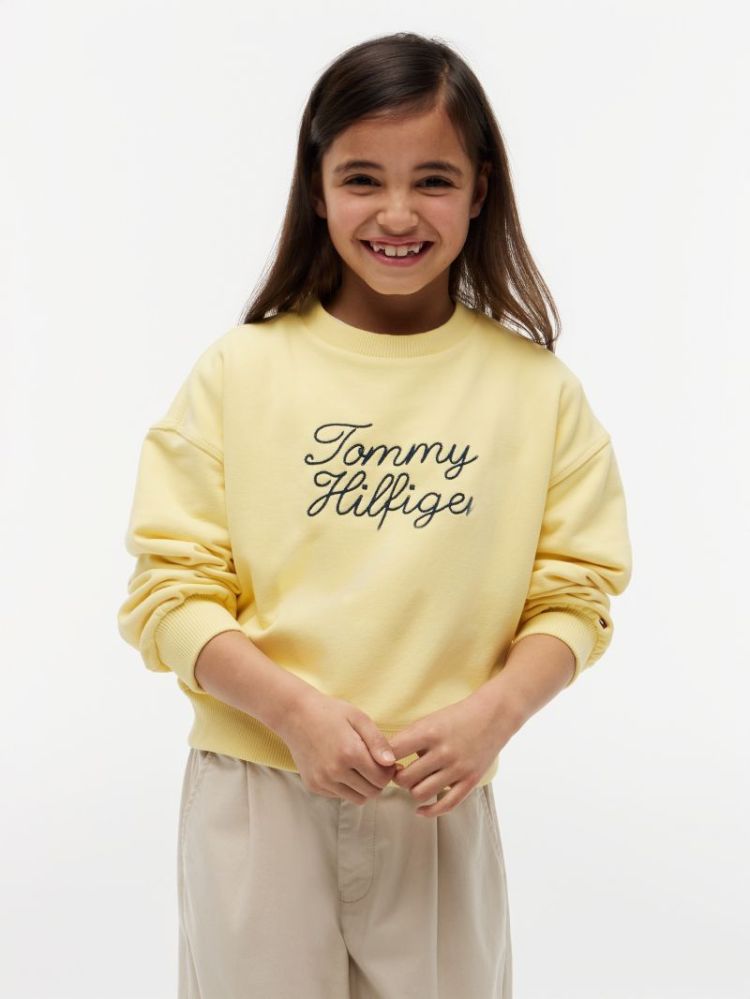 TOMMY HILFIGER CREW NECK ZGE Sunblock