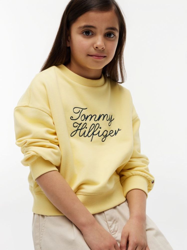TOMMY HILFIGER CREW NECK ZGE Sunblock