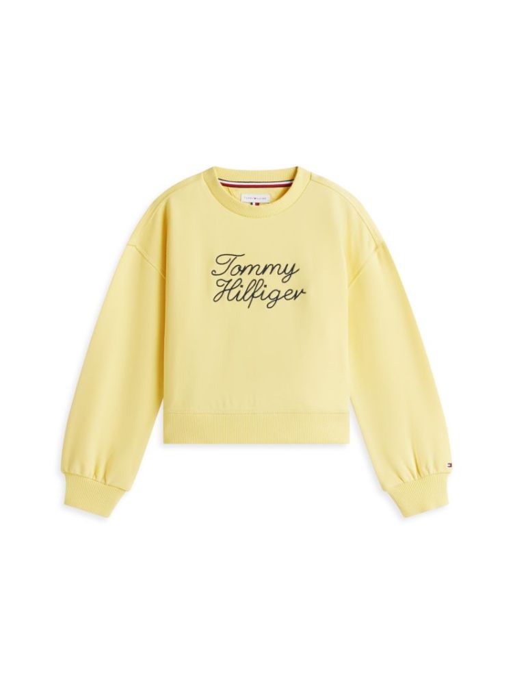 TOMMY HILFIGER CREW NECK ZGE Sunblock