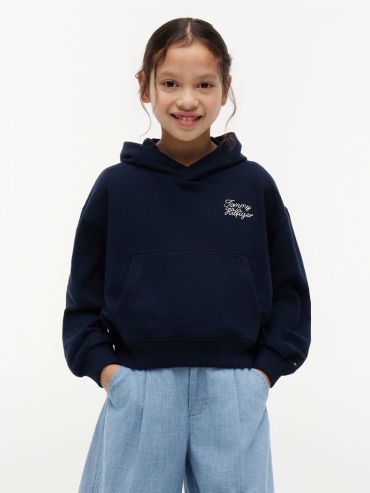 TOMMY HILFIGER HOODIE C1G Dark Night