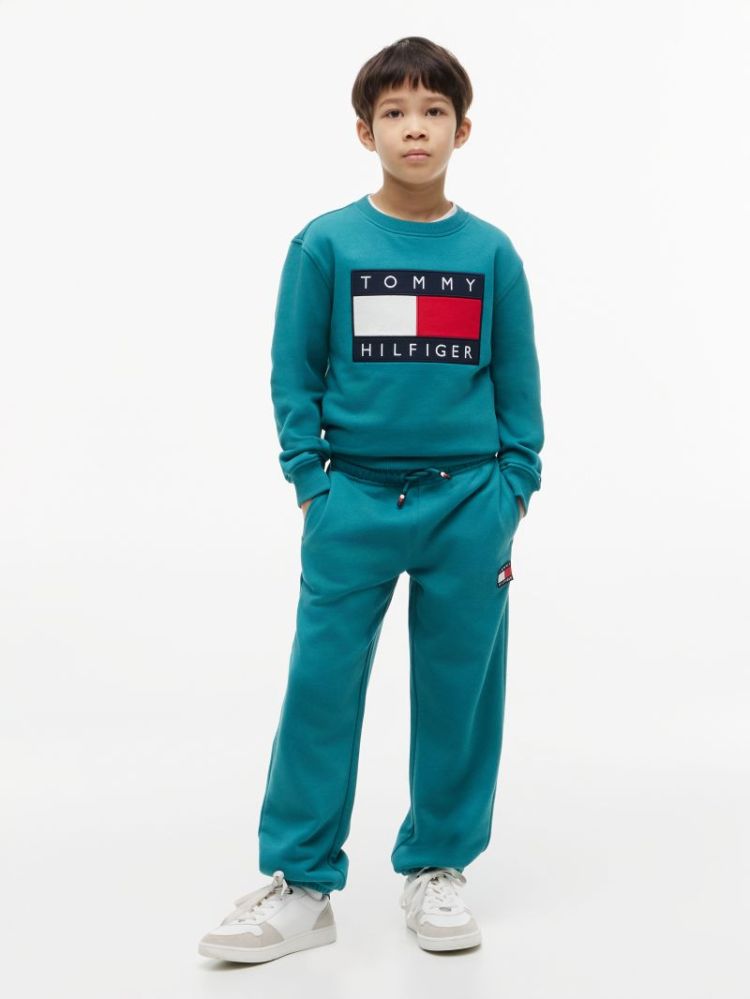 HERITAGE FLAG SWEATPANTS CT3 Platinum Te