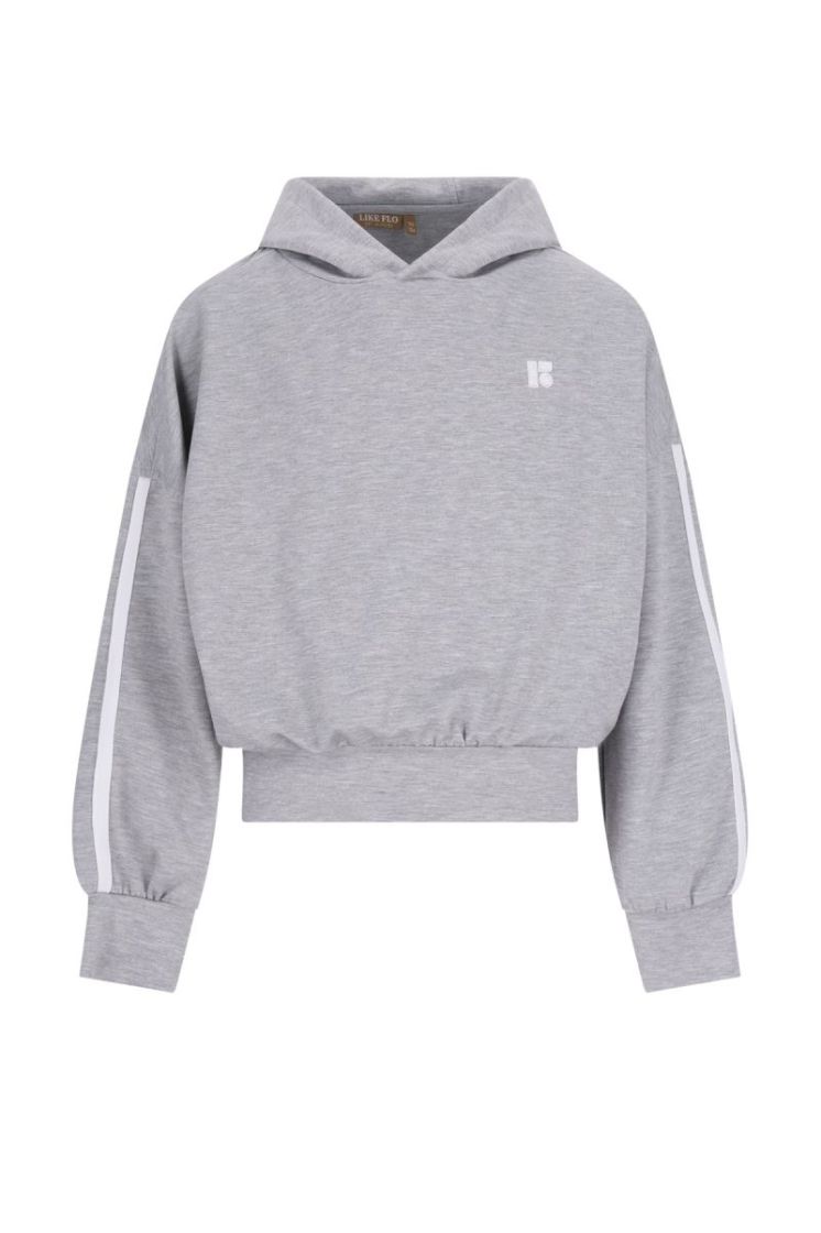 Denies young hooded sweater Grey melee
