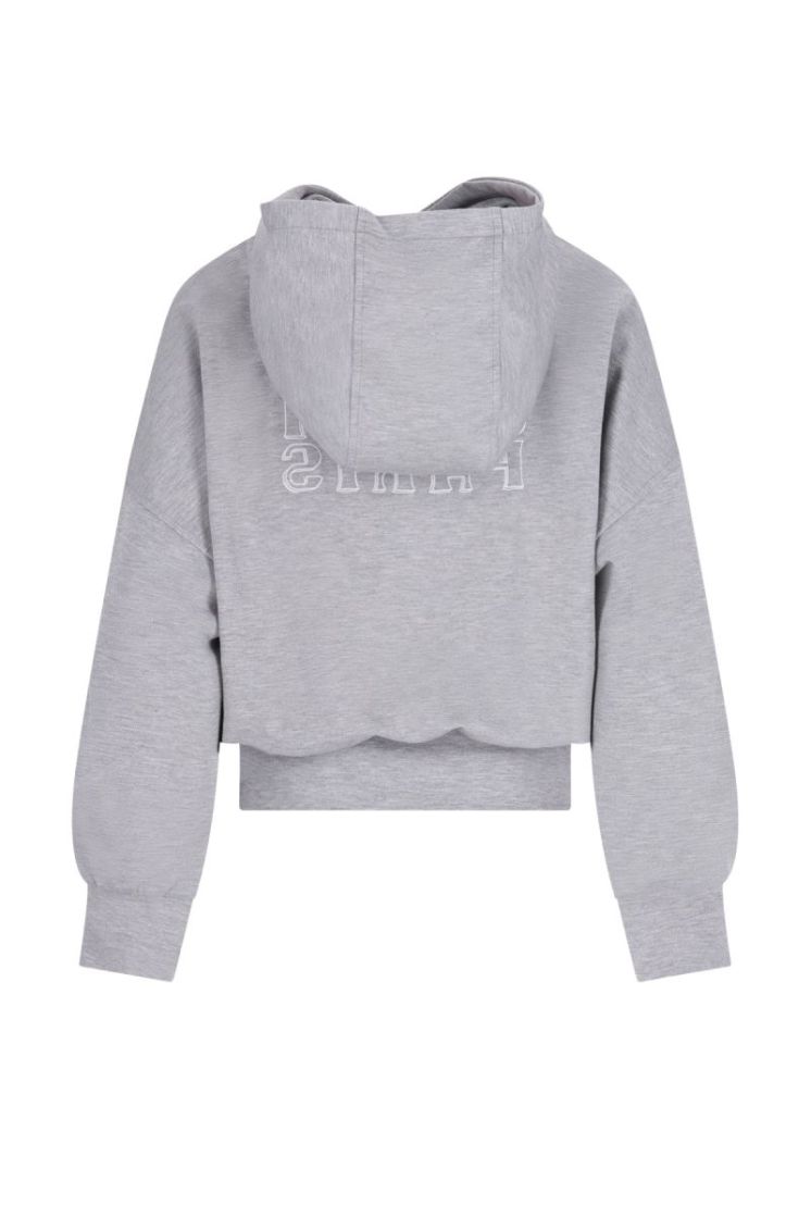 Denies young hooded sweater Grey melee