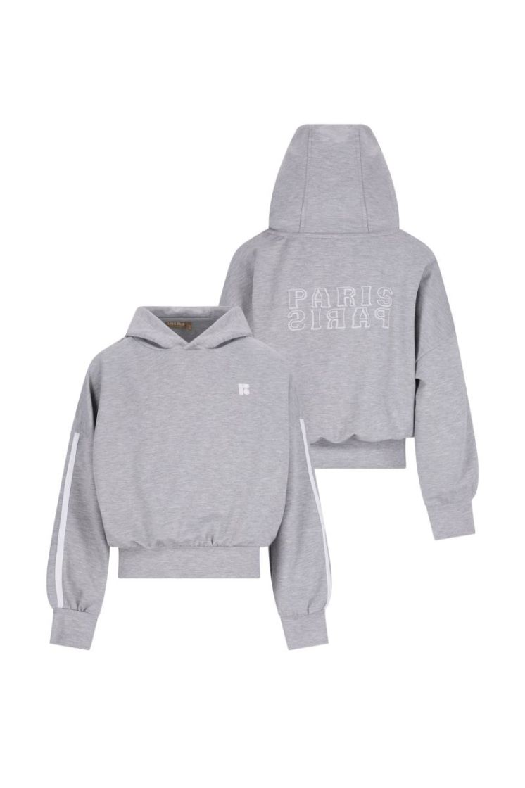 Denies young hooded sweater Grey melee