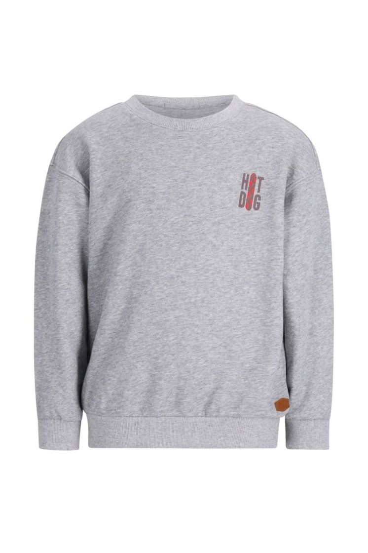 Dail Flo boys crewneck sweater Grey melee