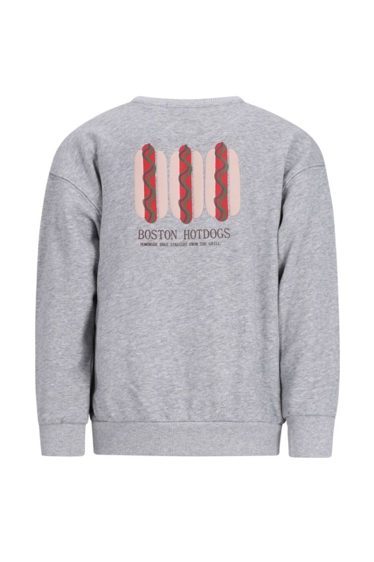 Dail Flo boys crewneck sweater Grey melee