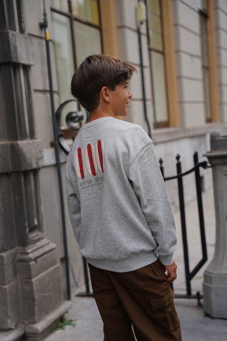 Dail Flo boys crewneck sweater Grey melee