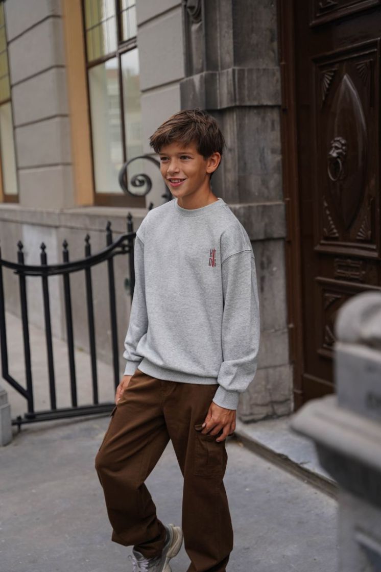 Dail Flo boys crewneck sweater Grey melee