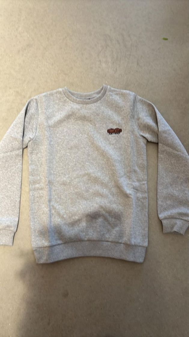 SWEATSHIRTS 000204 GREY CHI