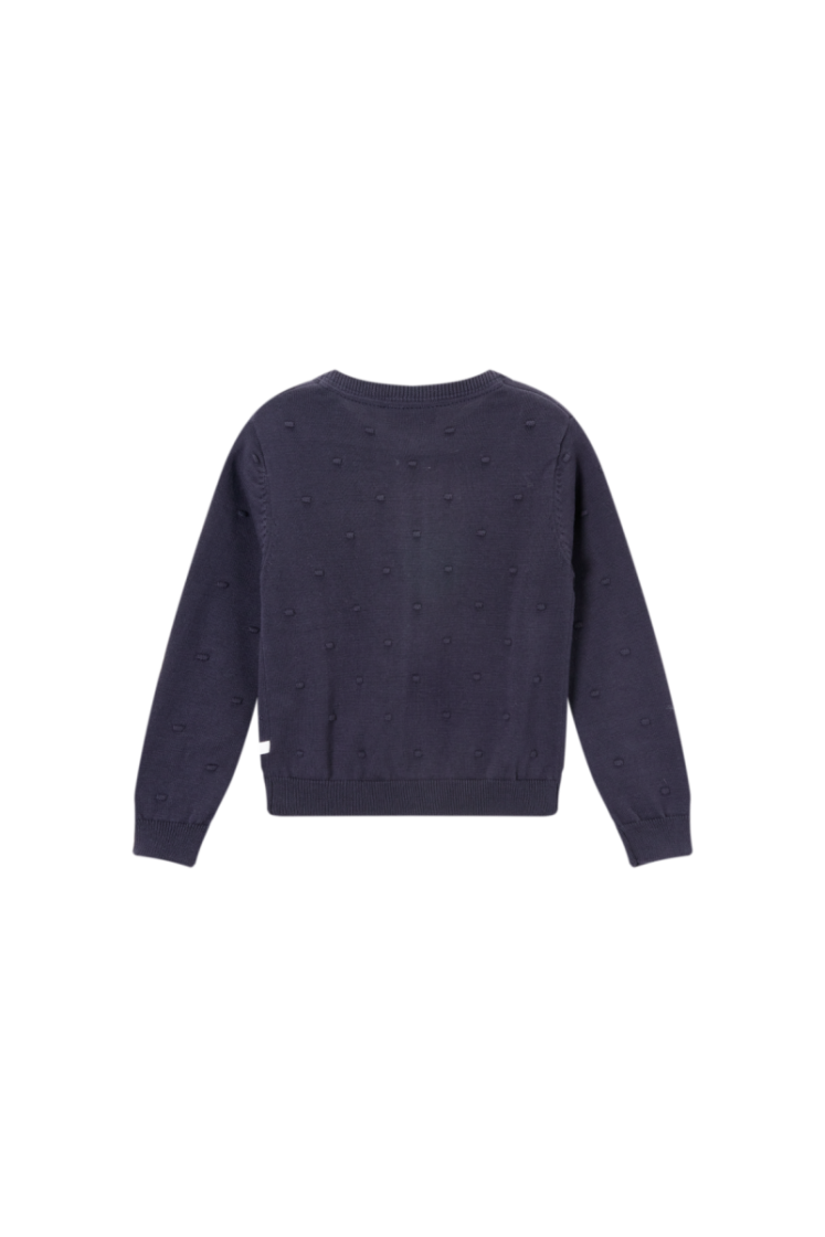 HAILEY-SG-15-H NAVY