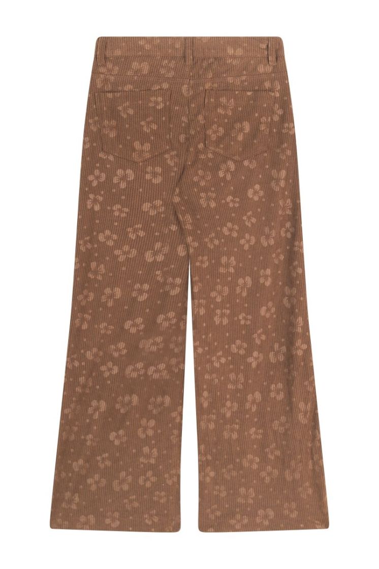 RANI-G-37-G BROWN